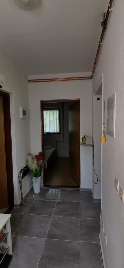 Apartman Deda 라코비카 외부 사진